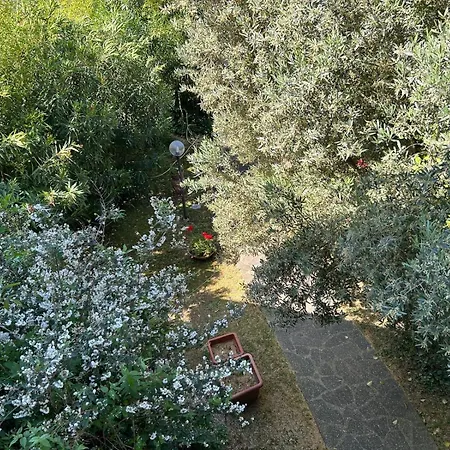 Casa Del Colle * Collesalvetti